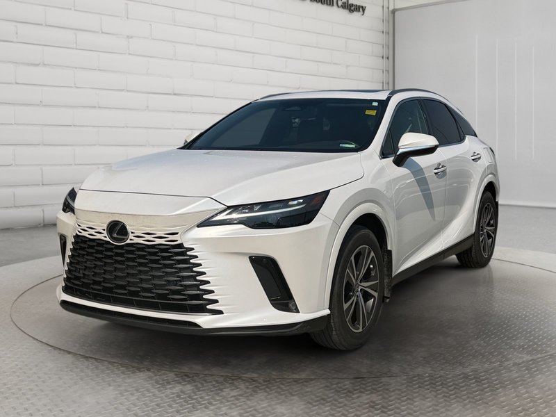 Vehicle Image 2024 Lexus RX
