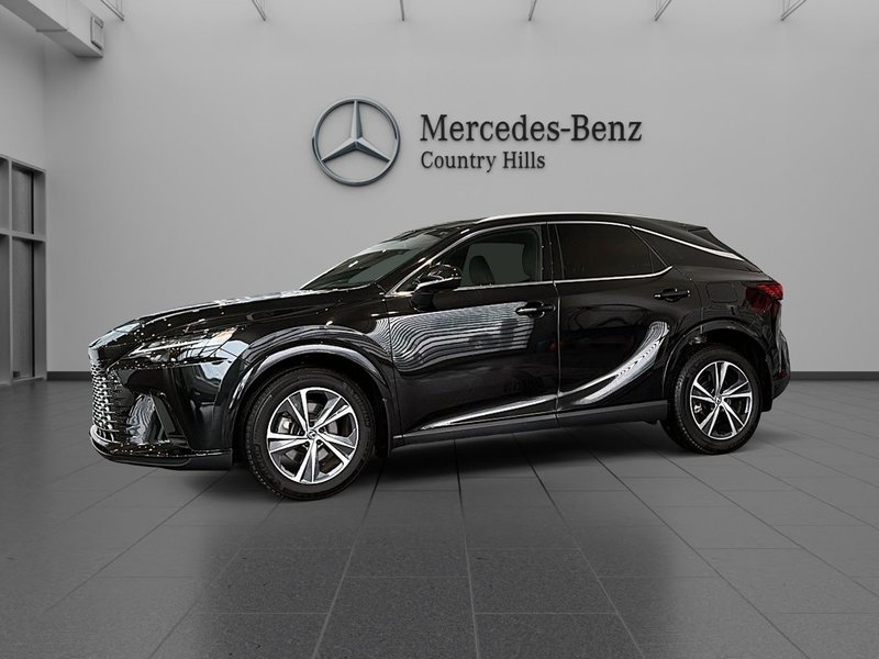 Vehicle Image 2023 Lexus RX