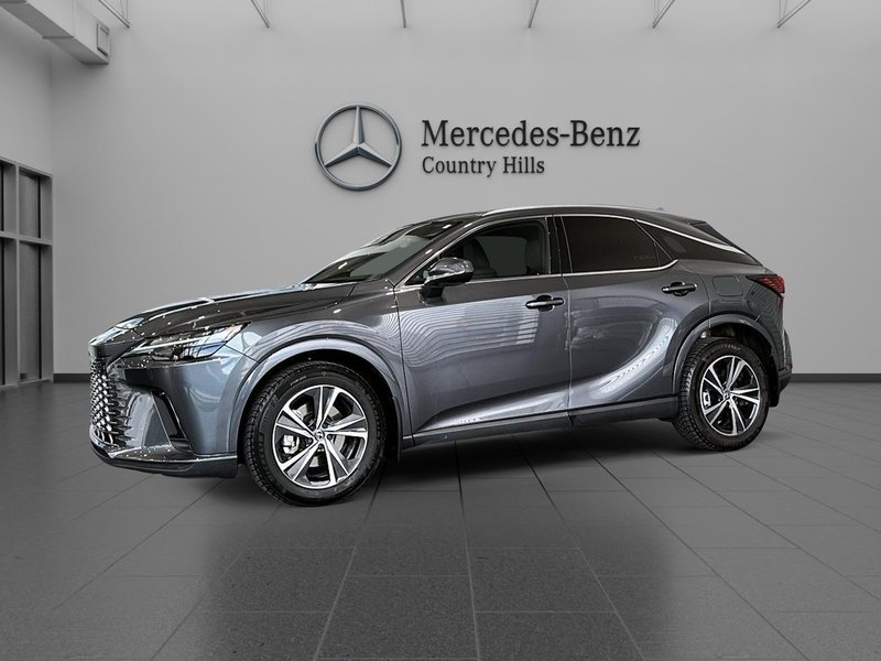 Vehicle Image 2024 Lexus RX