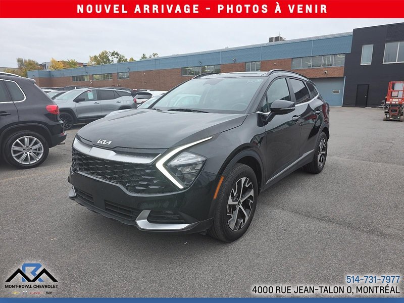 Image du véhicule Kia Sportage 2024