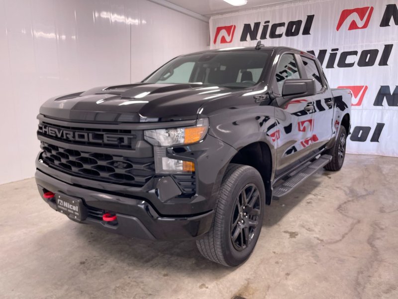 Vehicle Image 2024 Chevrolet SILVERADO 1500