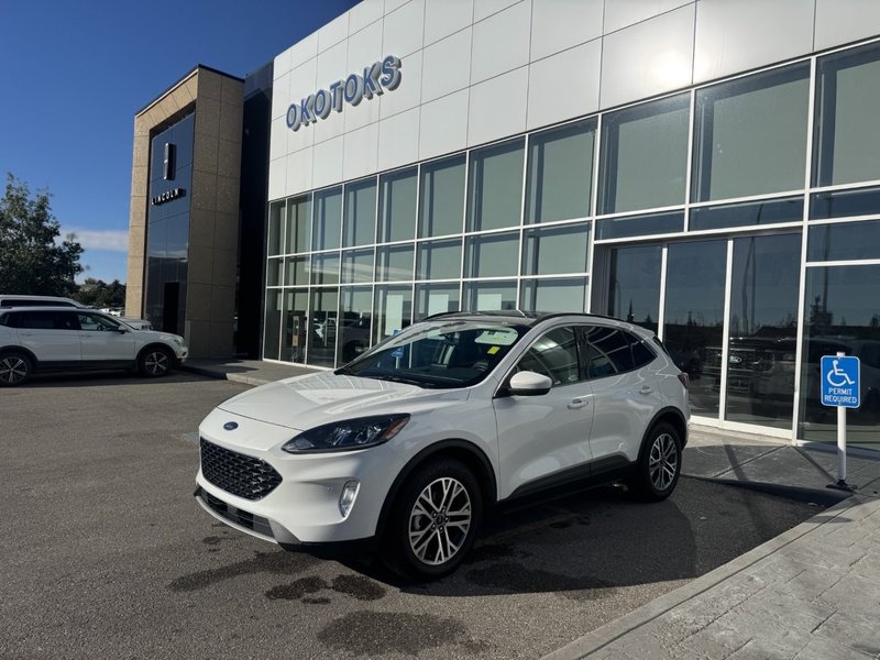 Vehicle Image 2022 Ford Escape