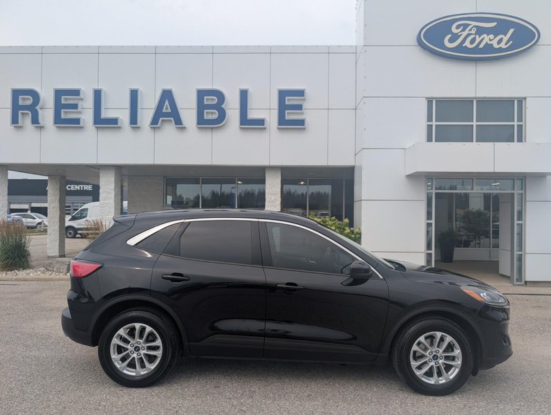 Vehicle Image 2020 Ford Escape