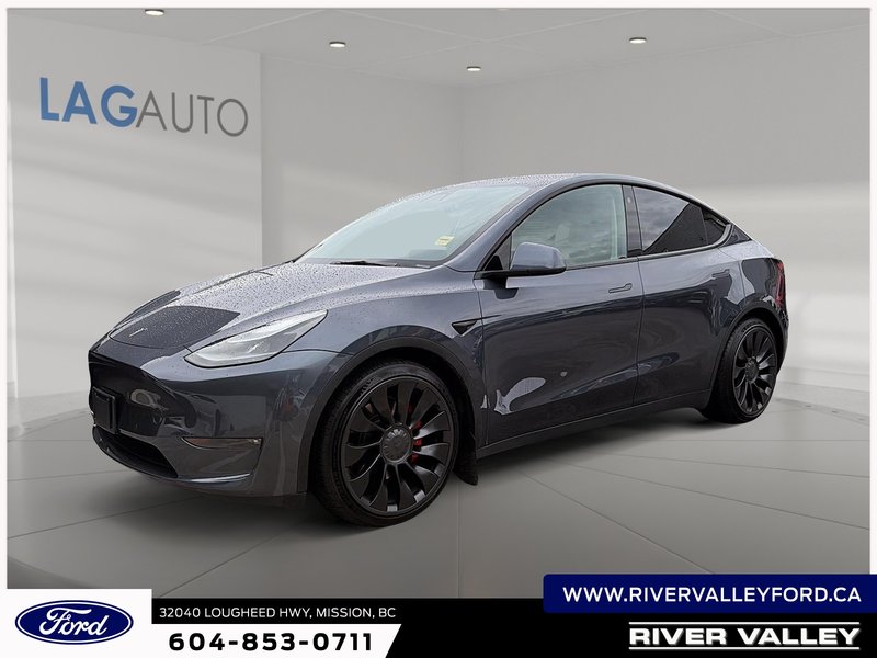 Vehicle Image 2022 Tesla Model Y