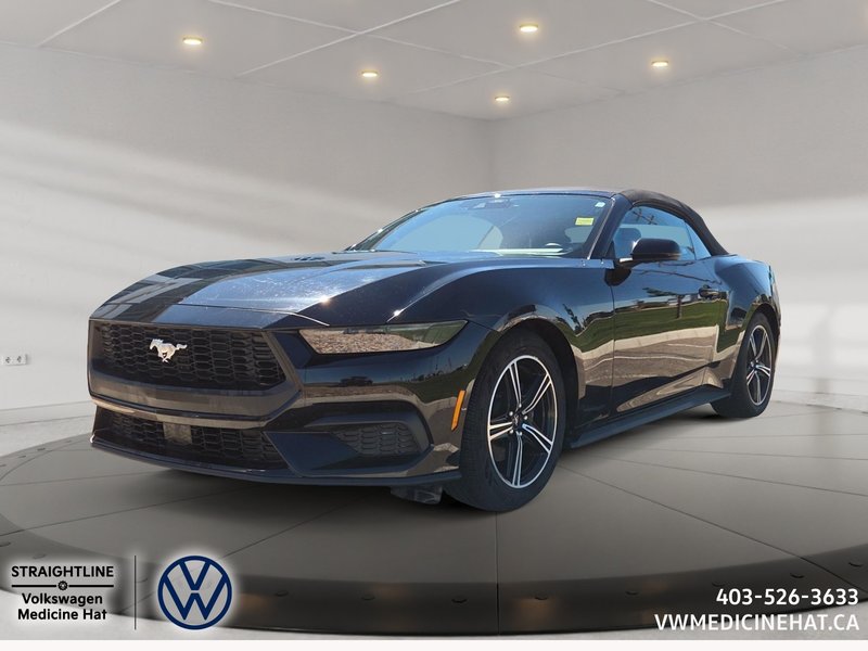 Vehicle Image 2025 Ford Mustang