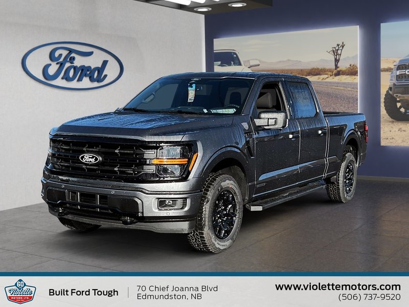 Image du véhicule Ford F-150  2026