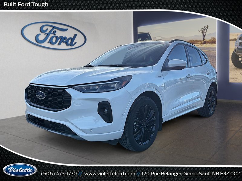 Vehicle Image 2024 Ford Escape