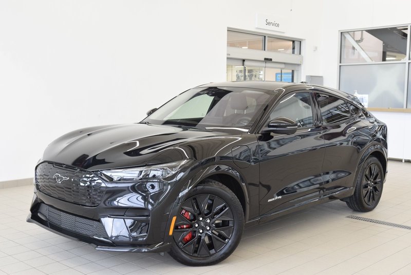 Vehicle Image 2025 Ford Mustang Mach-E