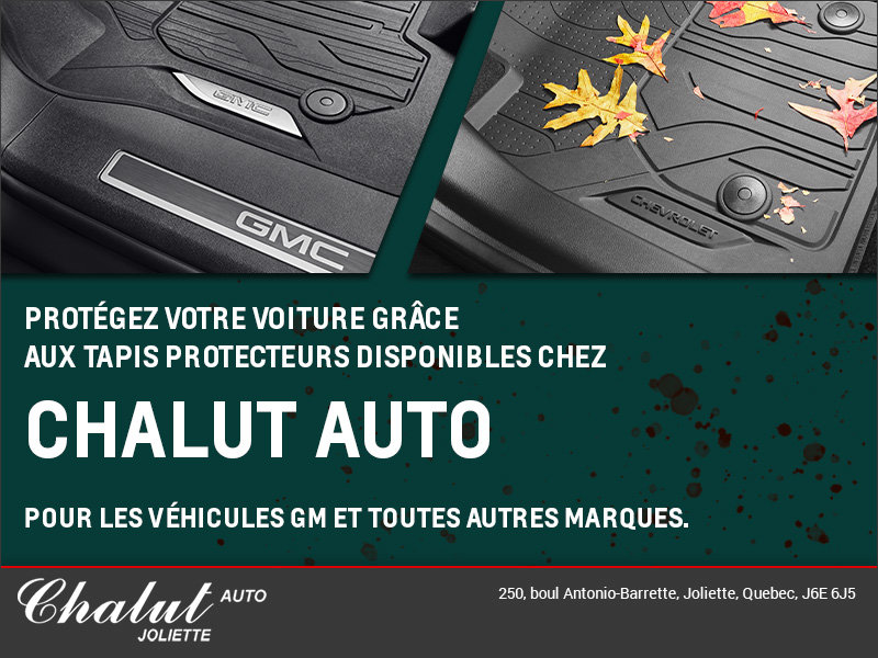 Protégez votre voiture avec nos tapis