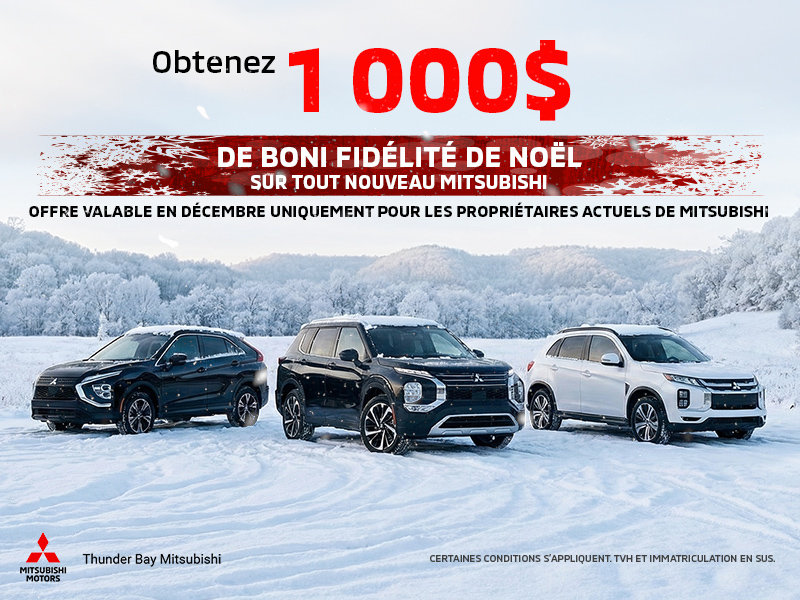 Boni de fidélité de Noël