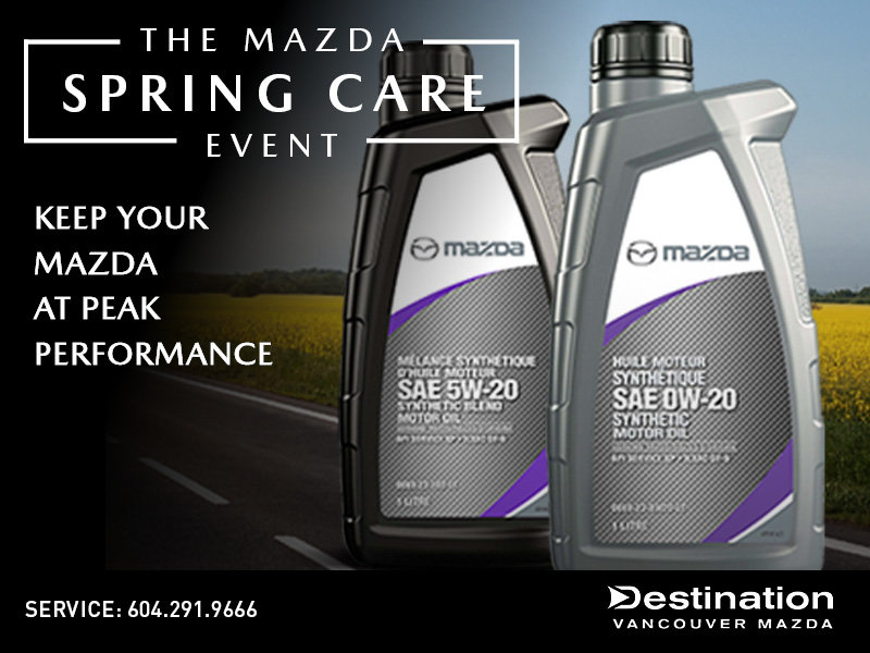 Spring Maintenance Package