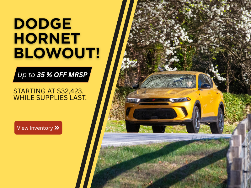 Dodge Hornet Blowout