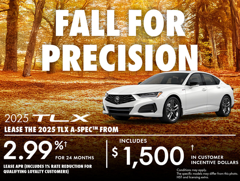 Fall For Precision - TLX