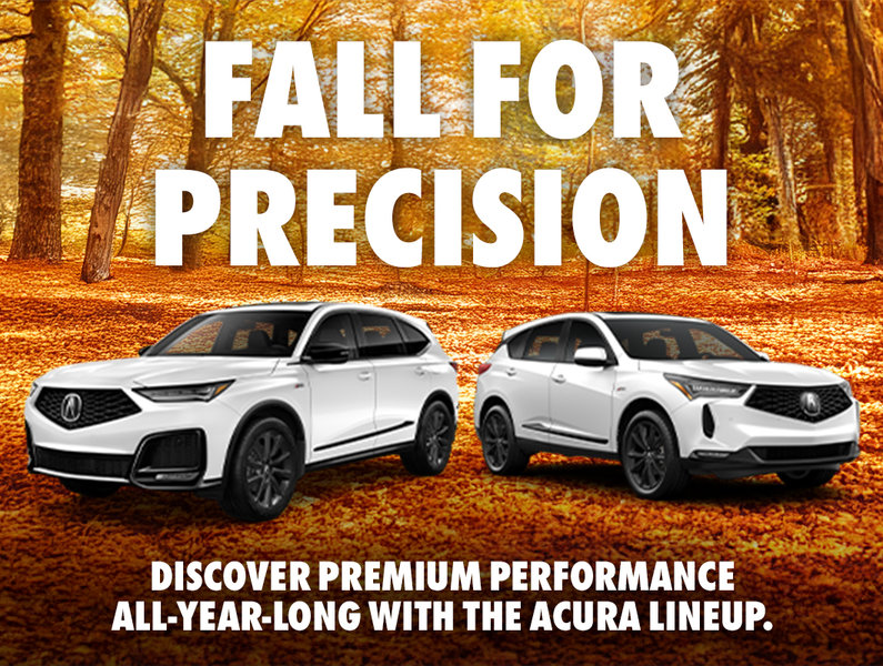 Fall For Precision