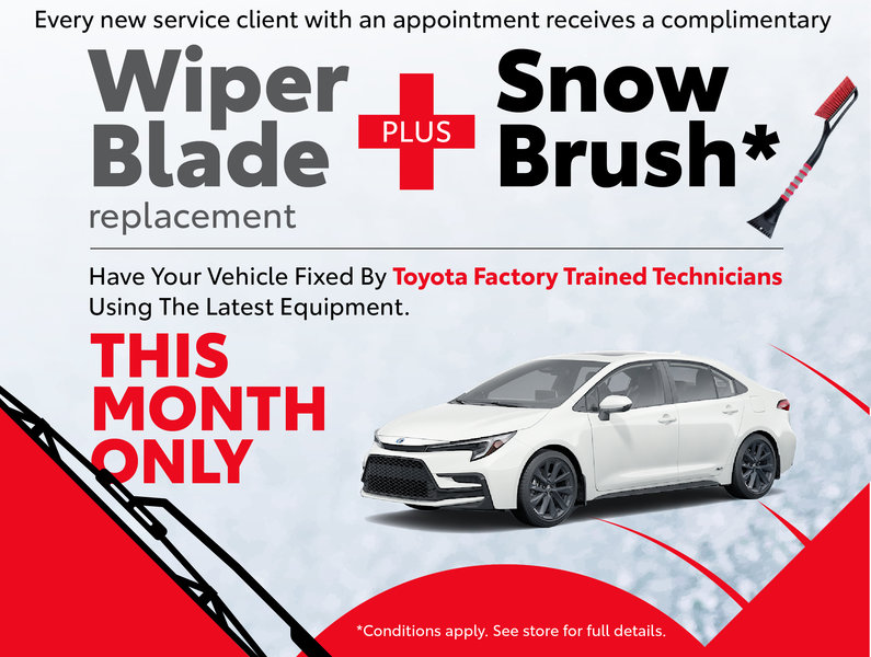 Complimentary Wiper Blade Inserts & Snow Brush