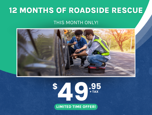 12 Months of Roadside Rescue