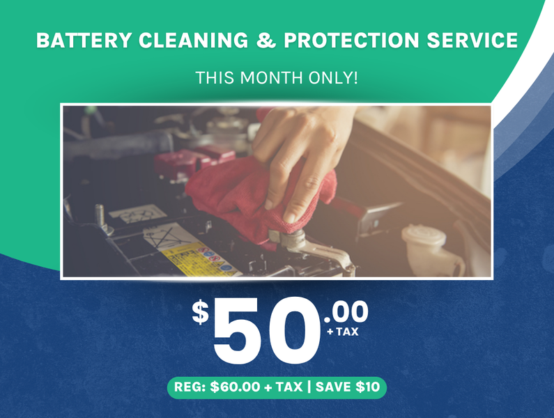 Battery Cleaning & Protection Service