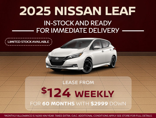 Nissan Leaf Special