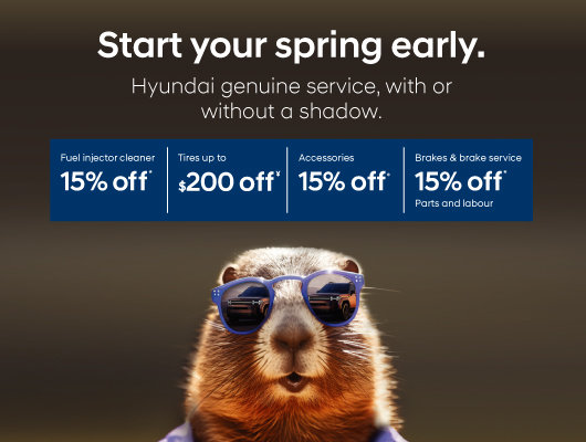 Hyundai Spring Early Sale