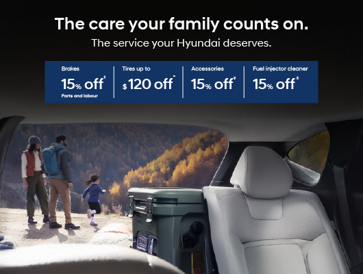 Hyundai Fall Service