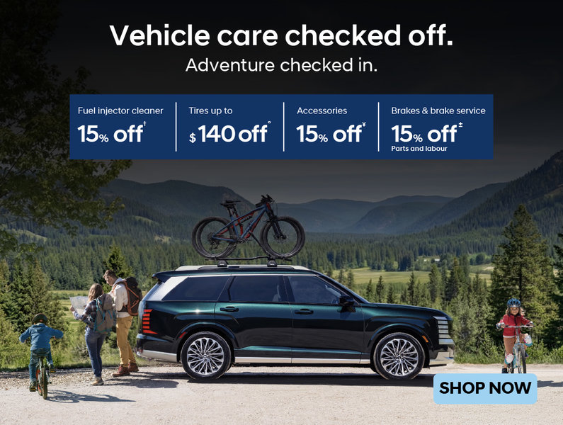 Hyundai Service Campaign