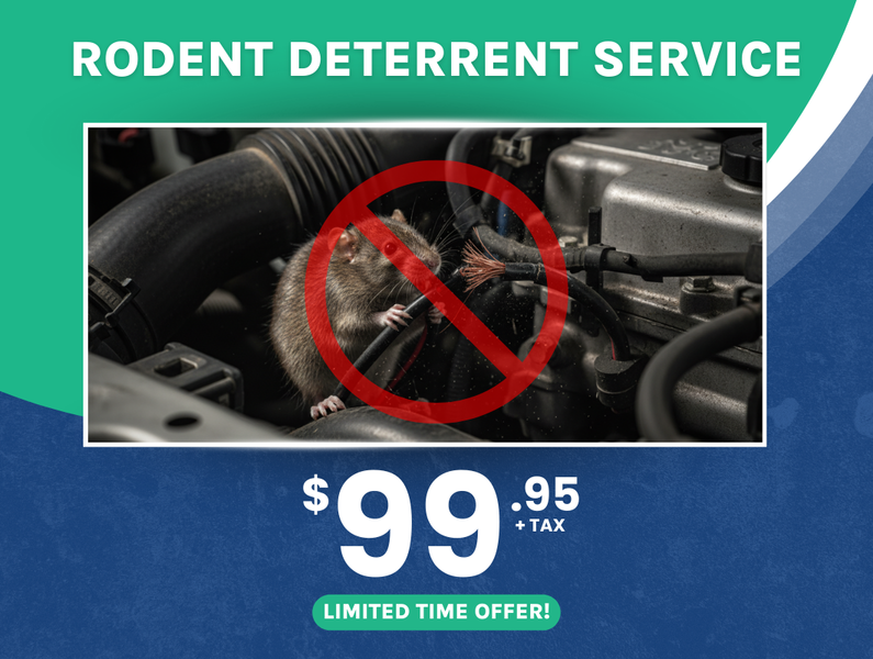 Rodent Deterrent Service Special