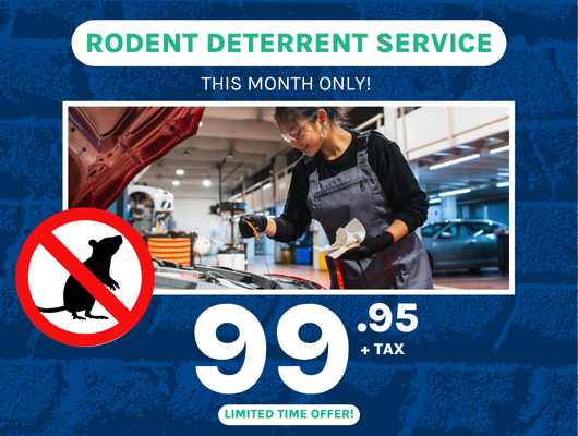 Rodent Deterrent Service Special