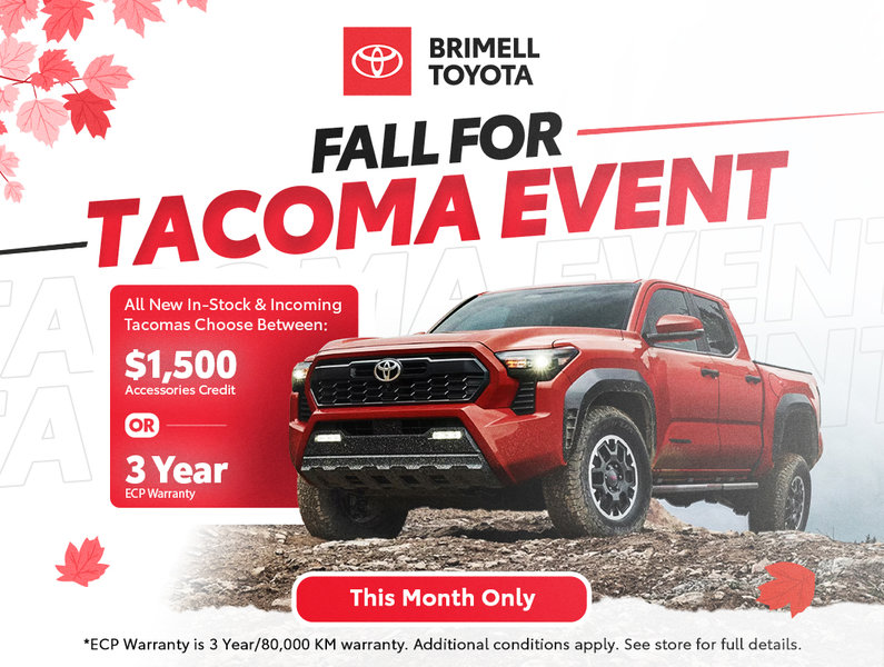 Fall For Tacoma Sale