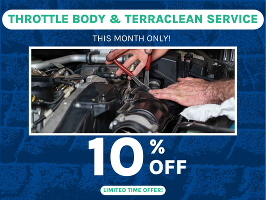 Throttle Body & Terra Clean Service Special