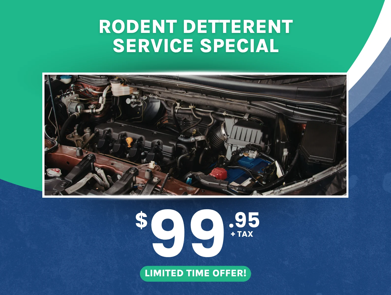 Rodent Deterrent Service Special