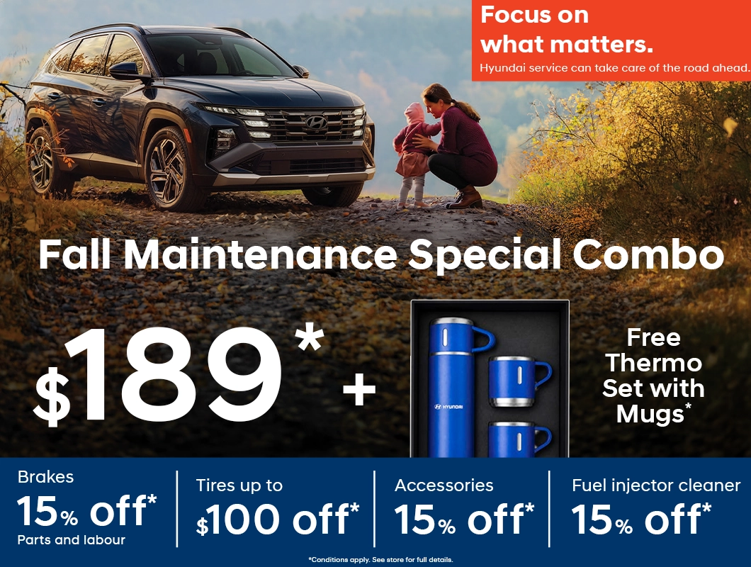 Fall Maintenance Special Combo