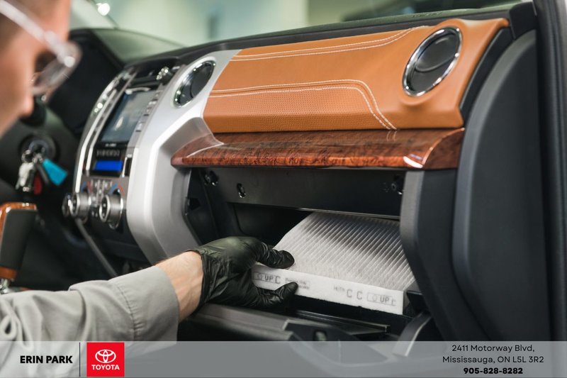 Cabin Air Filter Special