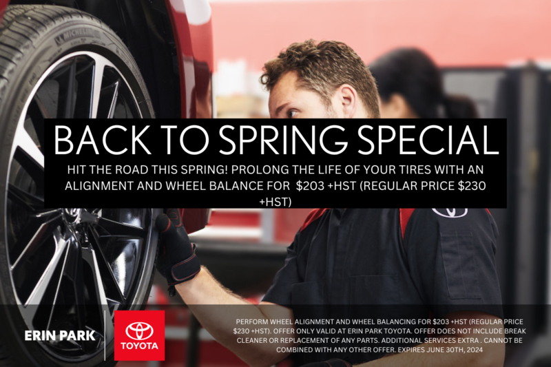 Back to Spring Special