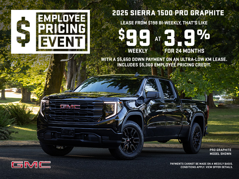 The 2025 GMC Sierra 1500 Pro Graphite