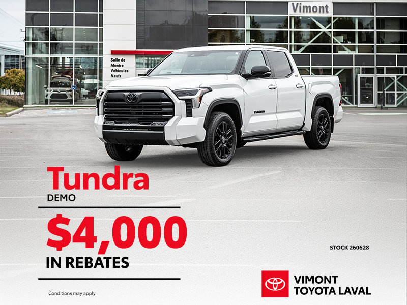 Tundra Demo