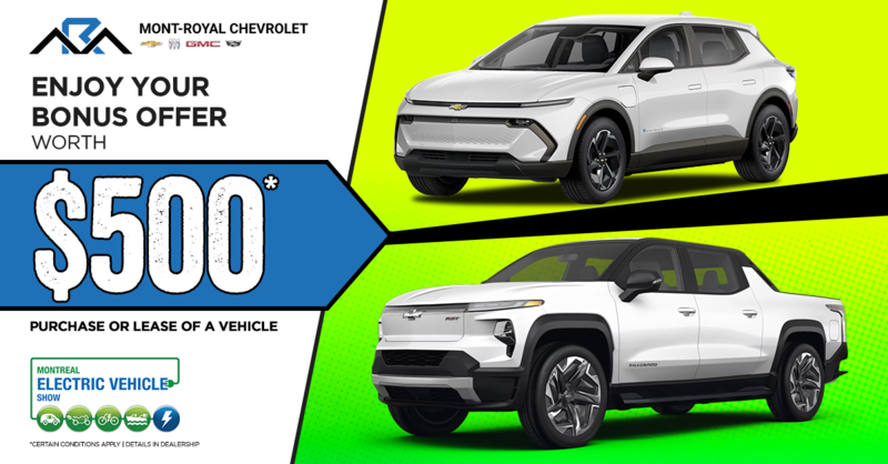 ELECTRIC SHOW DISCOUNT !
