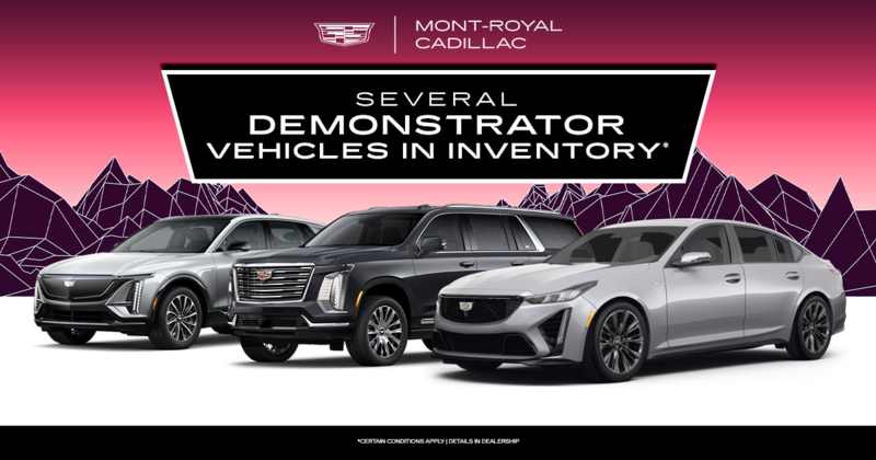 SEE OUR INVENTORY OF DEMONSTRATORS !