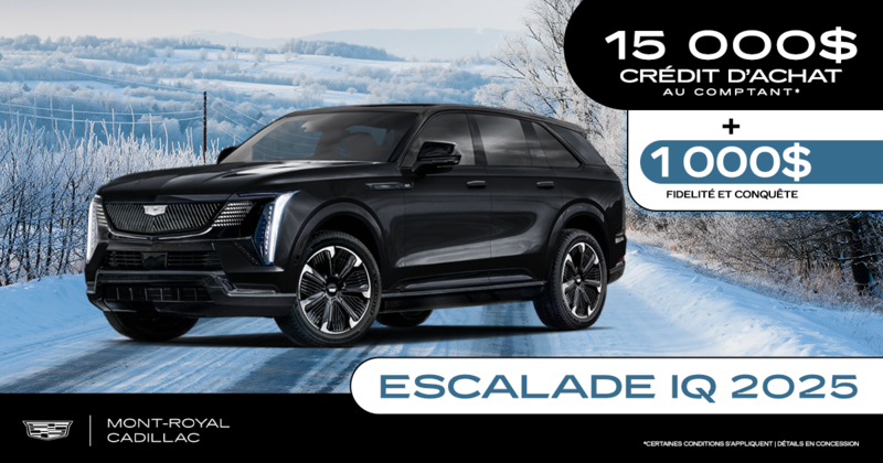ESCALADE IQ 2025 !