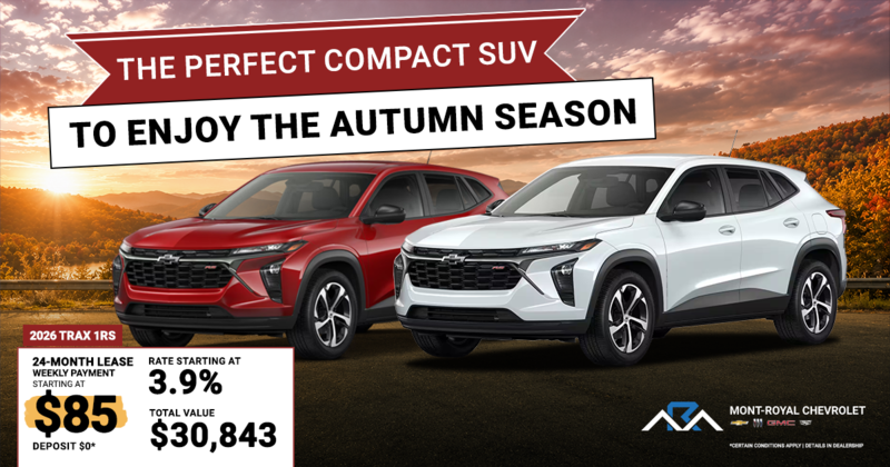 THE PERFECT COMPACT SUV TO ENJOY THE AUTUMN SEASON !