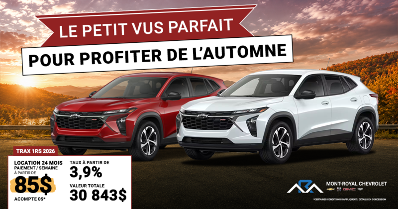 LE PETIT VUS PARFAIT POUR PROFITER DE L'AUTOMNE !