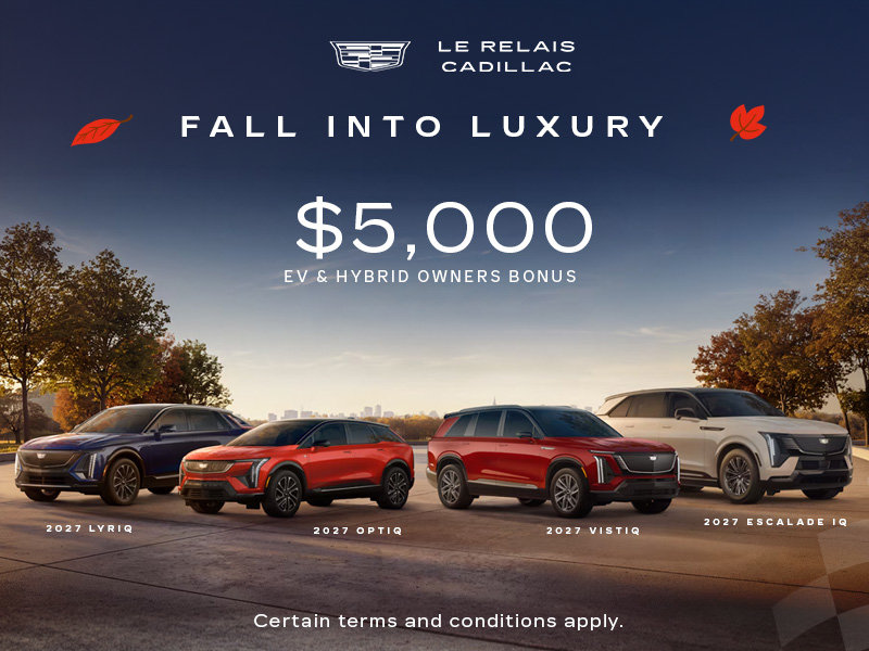 FALL INTO LUXURY