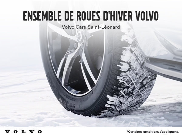 Ensembles de roues d'hiver V2