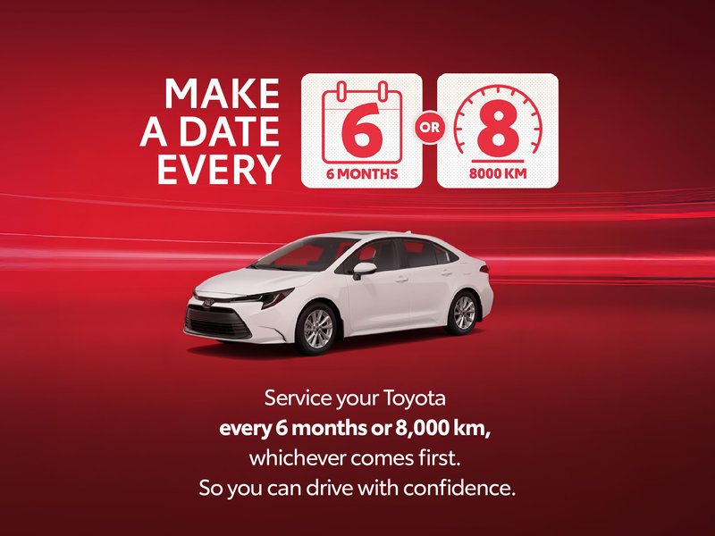 Make a date every 6 months or 8,000KM