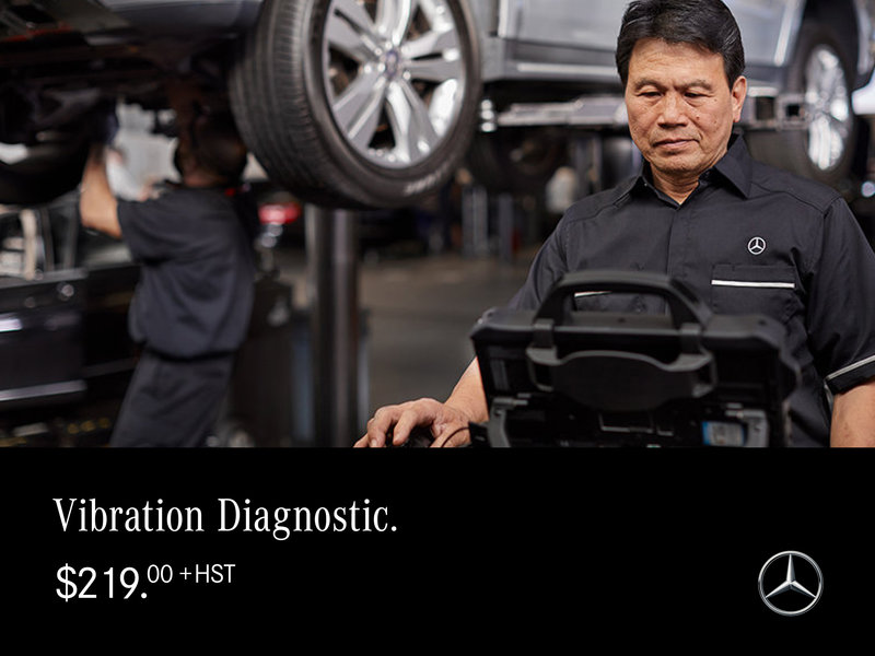 Vibration Diagnostic