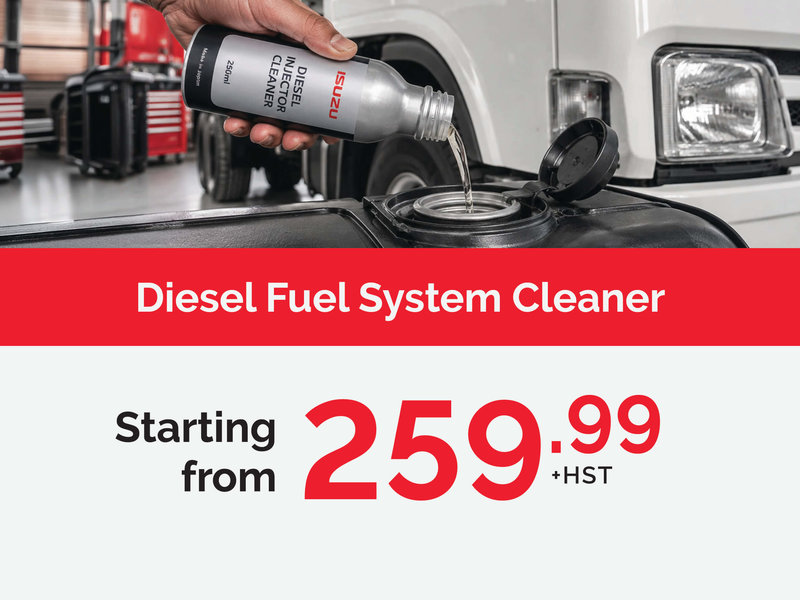 Isuzu Diesel Fuel System Clean