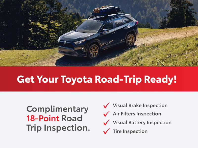 FREE 18-Point Road-Trip Inspection