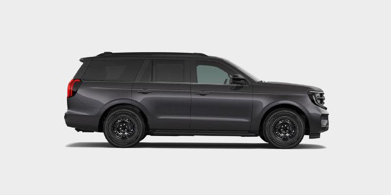 Ford Expedition STEEL Winter Tire Package