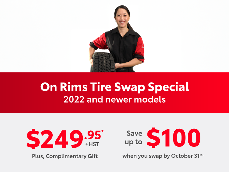 VIP Tire Swap&Storage Package - On Rims (Mounted)