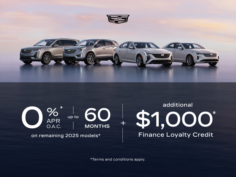 Drive the Future of Luxury