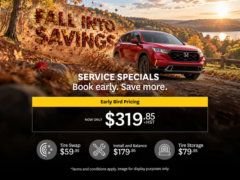 Service Special - Early Bird Pricing